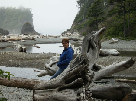 Ruby Beach, WA. 2008, my favorite place