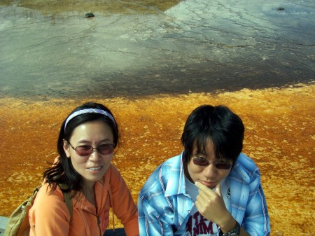 Gold Algae at Yellowstone