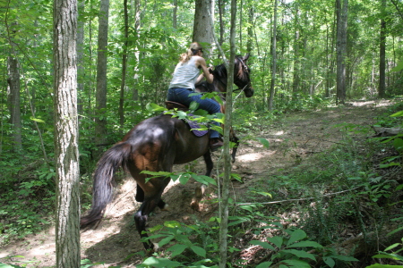 Carrie and Brazen