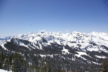 the view from the ridge