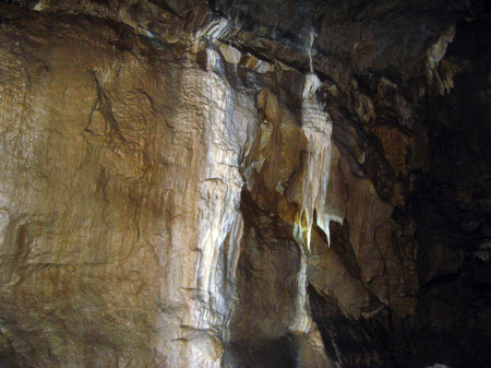 Oregon Caves in Cave Junction