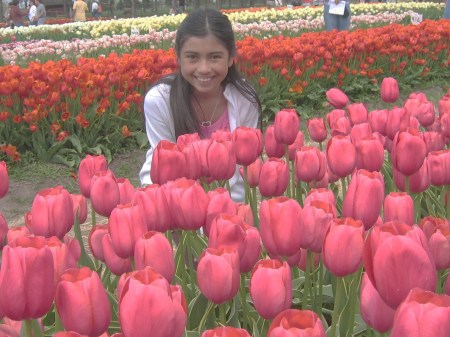 Tulip Farm, Holland MI