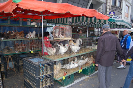 Market in Belgium