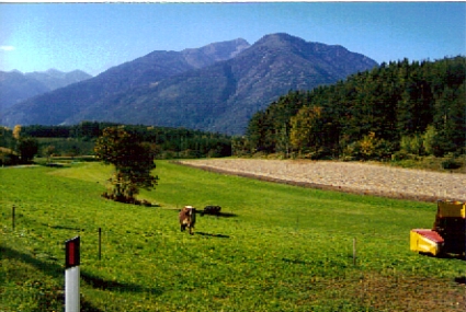 Italian Farming Community