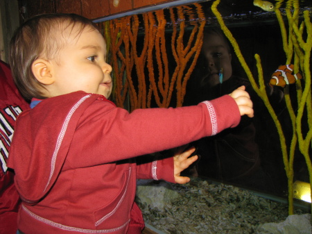 Aquarium