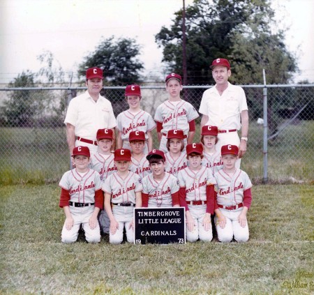 Timbergrove Cardinals 1973