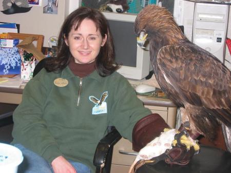 Shannon and Deschutes, golden eagle