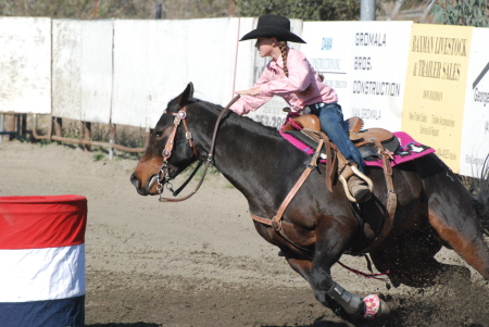 2008 NBHA Finals