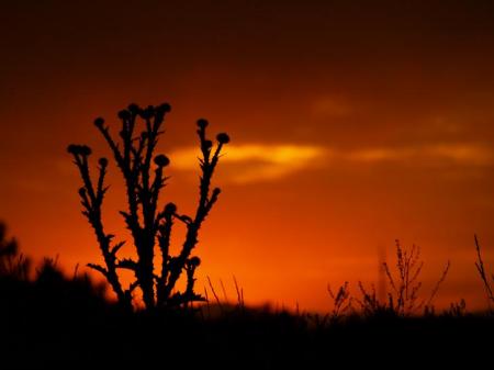 Sunset in Lone Tree