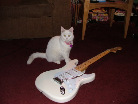 Kitty and fender