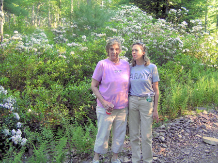 Lor, Heather and Mountain Laurel