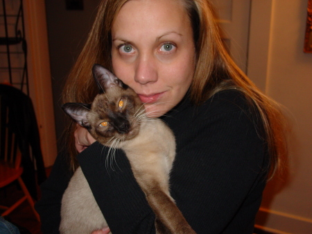 Sheila and Woodie the siamese