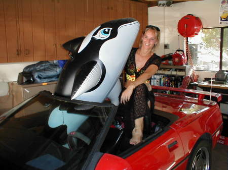 Diana 2000, Shamu and first Corvette