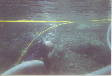 Yuba Gold, Me under water