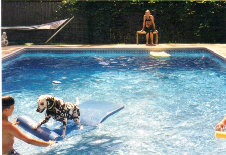 Backyard Pool