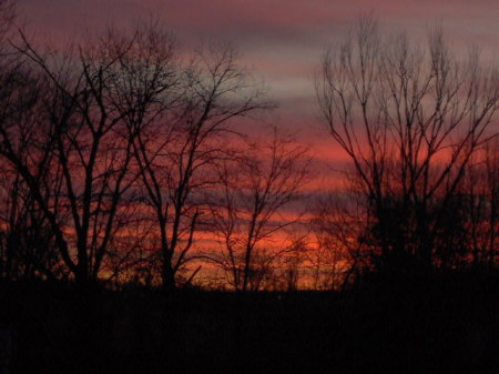 now THATS a beautiful Dawn ( from backyard)