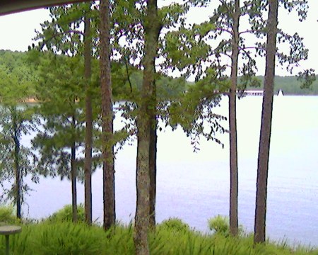 Another view of Lake DeGray!