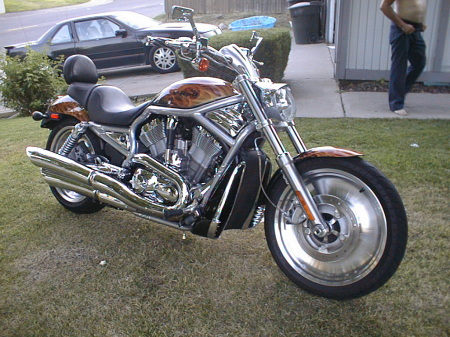 2005 Harley Davidson V-rod