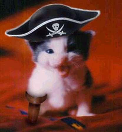 Pirate Kitty