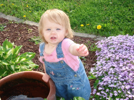 little gardner