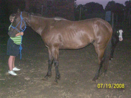 My horse Shadow