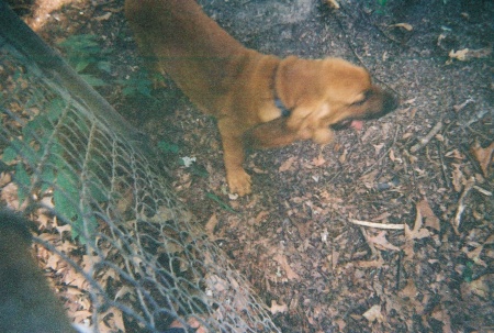 Claude at 3 months