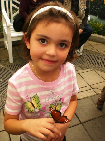 Sophia Rose with Butterfly!