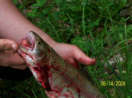 ~ Jonny's  Rainbow Trout ~