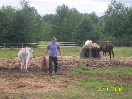 ed working in the corral