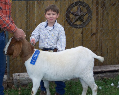 chase stock show 2007 1