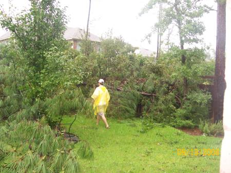 Our back yard after Ike