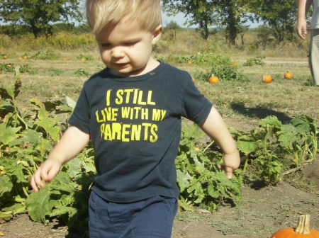 2008 Pumpkin patch