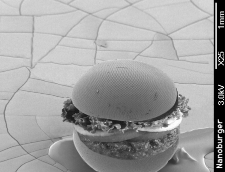 Nano Burger