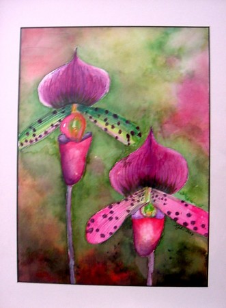 two magenta orchids