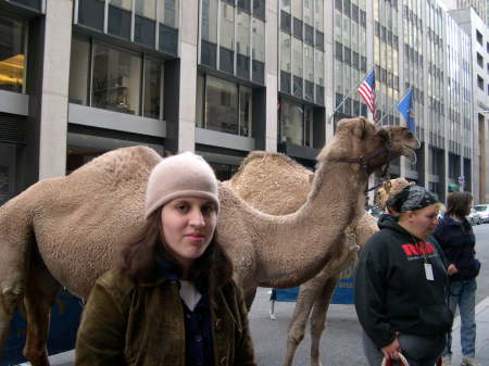 Amy with a Camel - NYC