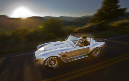 Brothers 1965 Shelby Cobra - NICE!