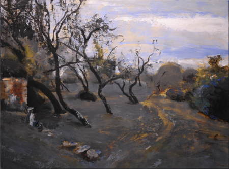 "Hilltop Almond Orchard"