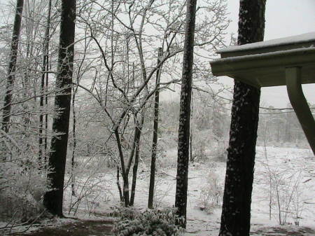 Snow in southern MS II.