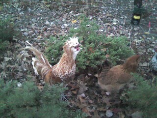 a couple of the girls, actually a boy and girl