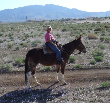 Aunt Linnie's Farm 038