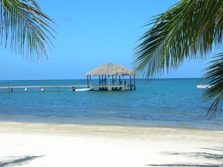 Roatan trip 2-08 Palmetto Bay Plantation resor