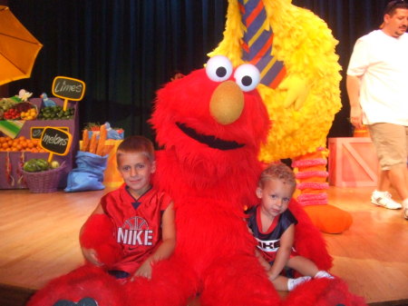 We Love Elmo!