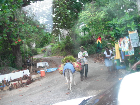 Beverly McCarter's album, jamaica