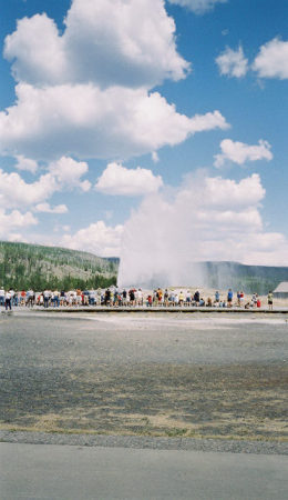 Old Faithful