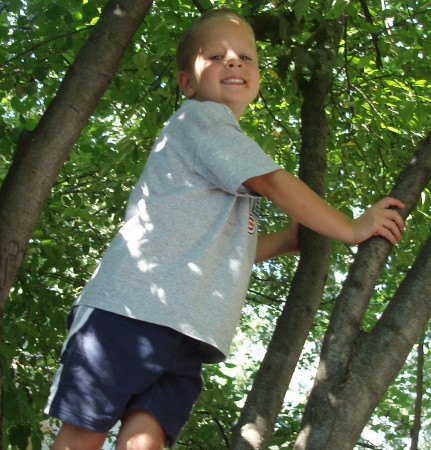 Boys' Climbing Trees