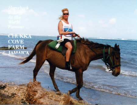 Horseback Ride Jamaica