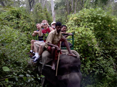 Riding Elephant in India