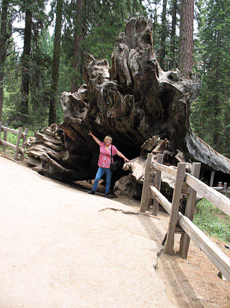 Sequoia National Park, California