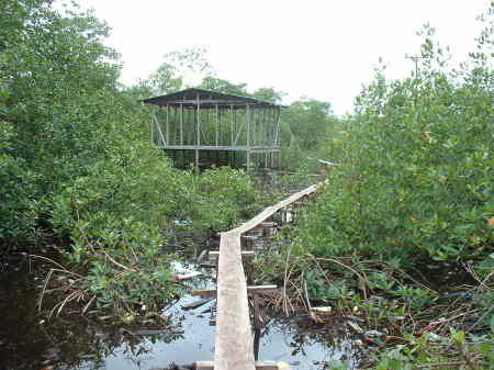 Wooden Path through squatter village