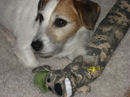 Jack and his "Cammo" Buddy